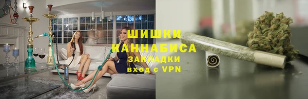гидропоника Горнозаводск