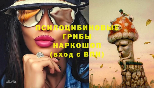 гидропоника Горнозаводск