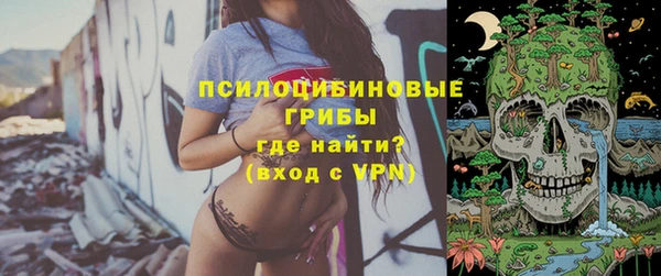 прущая мука Горно-Алтайск