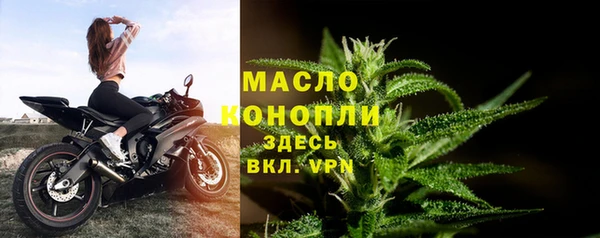 гидропоника Горнозаводск